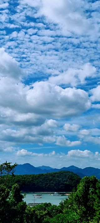 만득통님의 우리동네 · 동네수다 작성글 사진