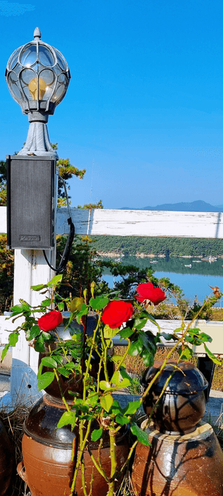 만득통님의 우리동네 · 동네수다 작성글 사진