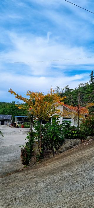 만득통님의 우리동네 · 동네수다 작성글 사진