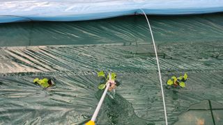 수반들농원님의 자유주제 · 자유게시판 작성글 사진