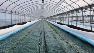 수반들농원님의 자유주제 · 자유게시판 작성글 사진