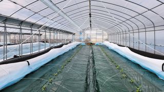 수반들농원님의 자유주제 · 자유게시판 작성글 사진