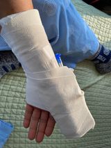 팜모닝 감·자유게시판 게시글 이미지