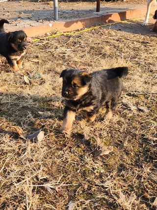 불당골귀농귀촌부부9님의 장터이야기 · 자유게시판 작성글 사진