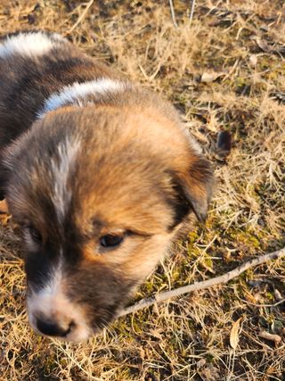 불당골귀농귀촌부부9님의 장터이야기 · 자유게시판 작성글 사진