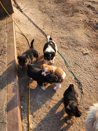 불당골귀농귀촌부부9님의 장터이야기 · 자유게시판 작성글 사진