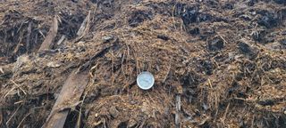 박태영님의 감자 · 영농일지 작성글 사진