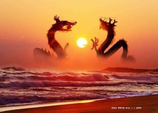 박정애님의 팜모닝에게 바라는 것은? · 참여글 작성글 사진