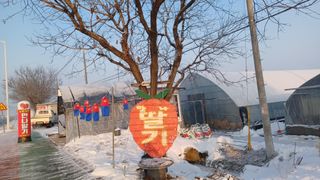 최재식 만나딸기농장님의 딸기·수확 작성글 사진