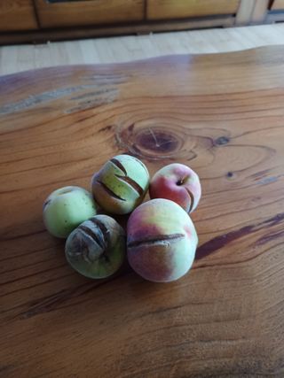 바웟돌님의 팜모닝 · 출석 작성글 사진