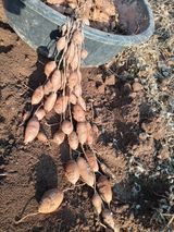 팜모닝 기타작물·자유게시판 게시글 이미지