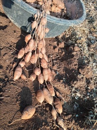 윤형곤님의 기타작물 · 자유게시판 작성글 사진