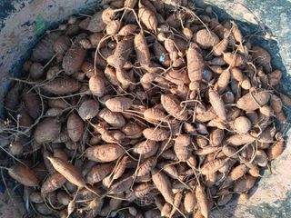 윤형곤님의 기타작물 · 자유게시판 작성글 사진