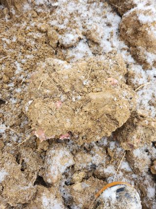 김유진님의 감자 · 영농일지 작성글 사진