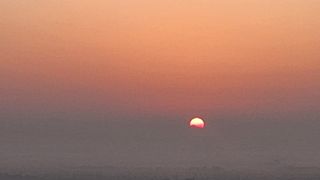 심지님의 자유주제 · 자유게시판 작성글 사진