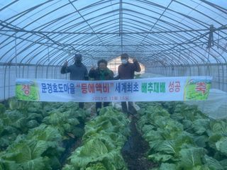 미래의 의사는 농부님의 배추 · 일상 작성글 사진