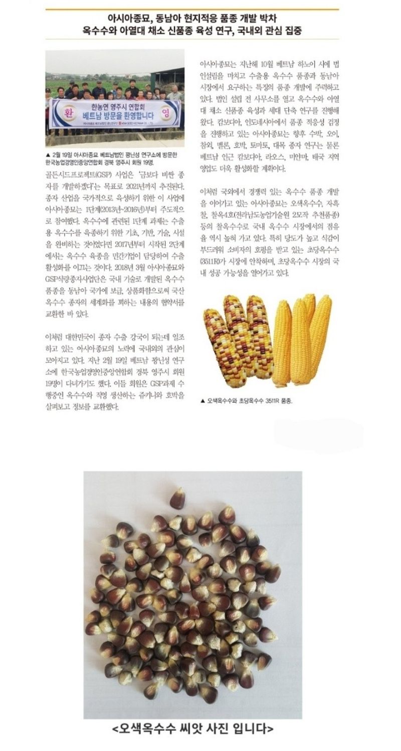 대산농사대장님의 장터 판매 상품 [오색옥수수씨앗 100립 2000립] 첨부 사진