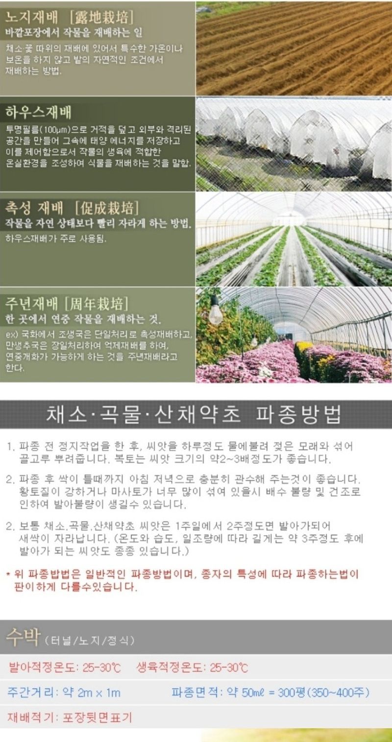 대산농사대장님의 장터 판매 상품 [애플수박씨앗 5립/100립] 첨부 사진