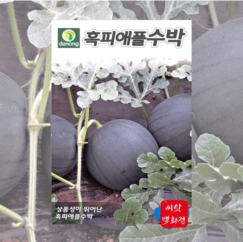 장터 상품 [애플수박 씨앗 흑피 /미니 수박씨 과일 채소씨앗 5립 종자 봄 여름 파종 ] 썸네일
