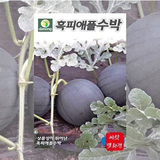 대산농사대장님의 작성글 사진