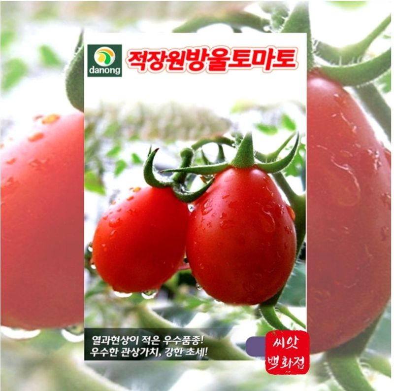 대산농사대장님의 장터 판매 상품 [애플수박 씨앗 흑피 /미니 수박씨 과일 채소씨앗 5립 종자 봄 여름 파종 ] 첨부 사진