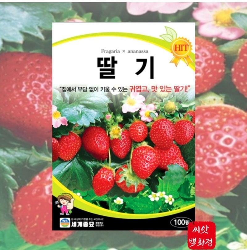 대산농사대장님의 장터 판매 상품 [애플수박 씨앗 흑피 /미니 수박씨 과일 채소씨앗 5립 종자 봄 여름 파종 ] 첨부 사진