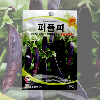 대산농사대장님의 작성글 사진