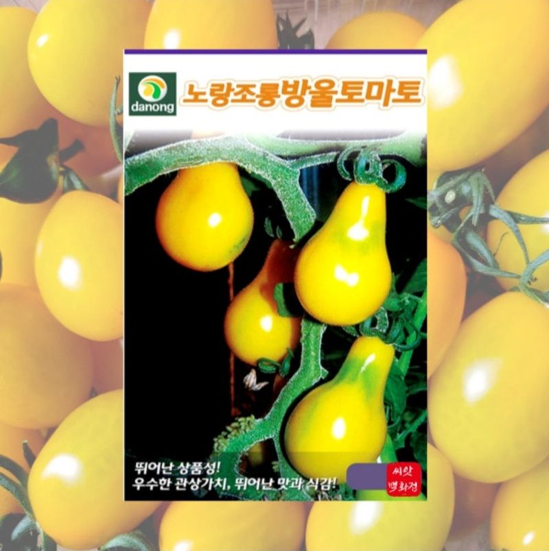 대산농사대장님의 장터 판매 상품 [애플수박 씨앗 흑피 /미니 수박씨 과일 채소씨앗 5립 종자 봄 여름 파종 ] 첨부 사진