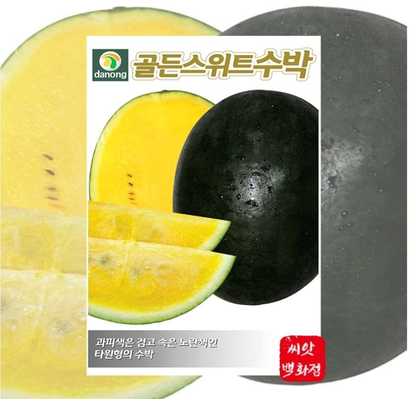 대산농사대장님의 장터 판매 상품 [애플수박 씨앗 흑피 /미니 수박씨 과일 채소씨앗 5립 종자 봄 여름 파종 ] 첨부 사진