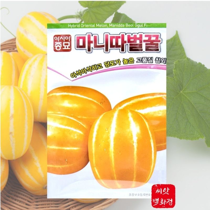 대산농사대장님의 장터 판매 상품 [애플수박 씨앗 흑피 /미니 수박씨 과일 채소씨앗 5립 종자 봄 여름 파종 ] 첨부 사진