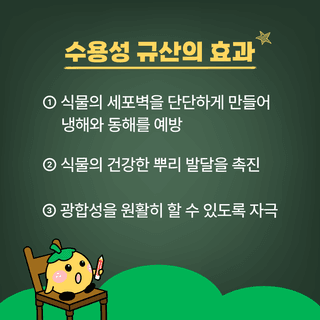 팜모닝 농사공부님의 매일매일 농사공부 · 매일매일 농사공부 작성글 사진