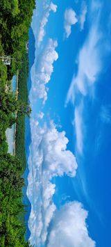 팜모닝 자유주제·사진전 게시글 이미지