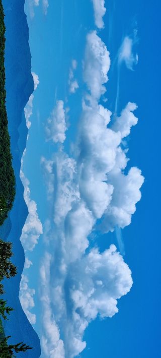 만득통님의 자유주제 · 사진전 작성글 사진