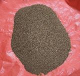 팜모닝 · 게시글 이미지