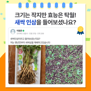 팜모닝 베스트님의 팜모닝공식 · 팜모닝 베스트 작성글 사진