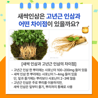 팜모닝 베스트님의 팜모닝공식 · 팜모닝 베스트 작성글 사진