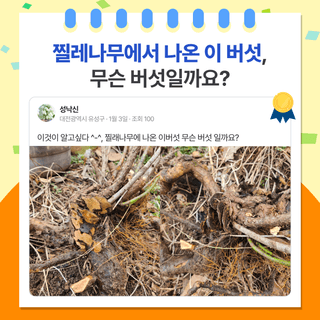 팜모닝 베스트님의 팜모닝공식 · 팜모닝 베스트 작성글 사진