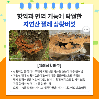팜모닝 베스트님의 팜모닝공식 · 팜모닝 베스트 작성글 사진