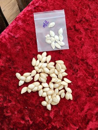 권춘화님의 자유주제 · 자유게시판 작성글 사진