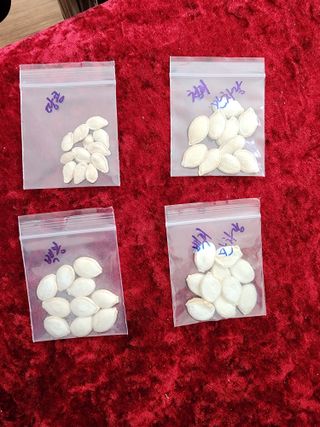 권춘화님의 자유주제 · 자유게시판 작성글 사진