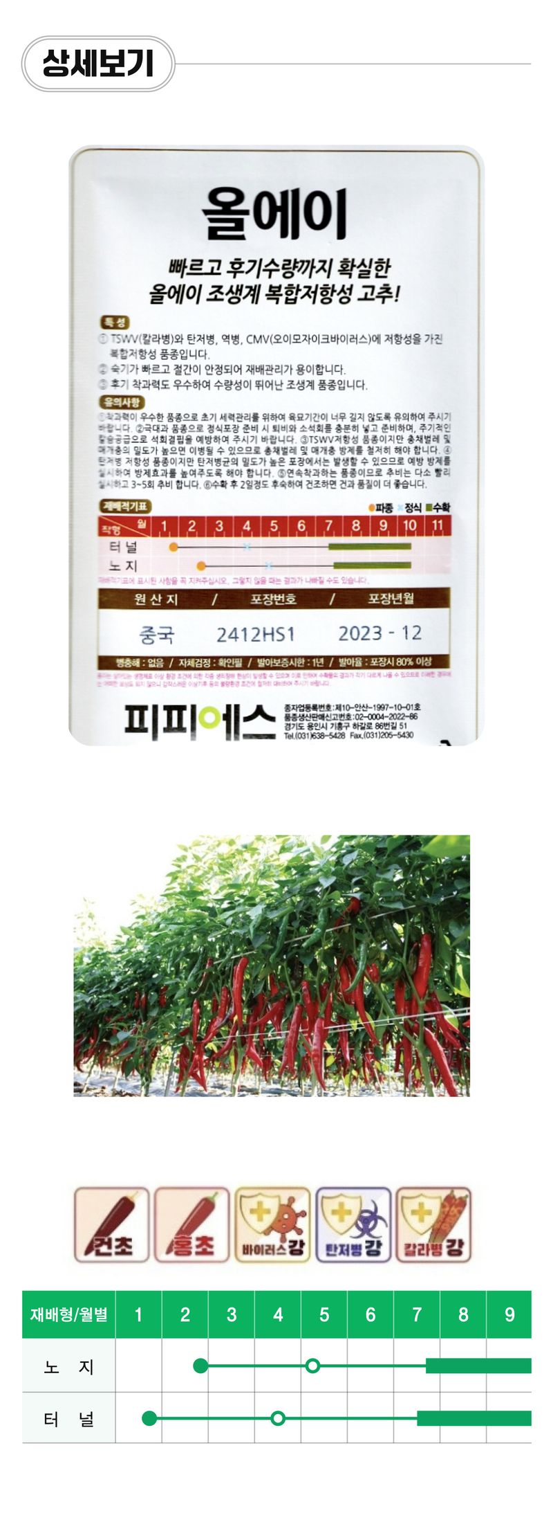 팜모닝 상점님의 장터 판매 상품 [[피피에스] 올에이 복합계 고추씨앗 1200립] 첨부 사진