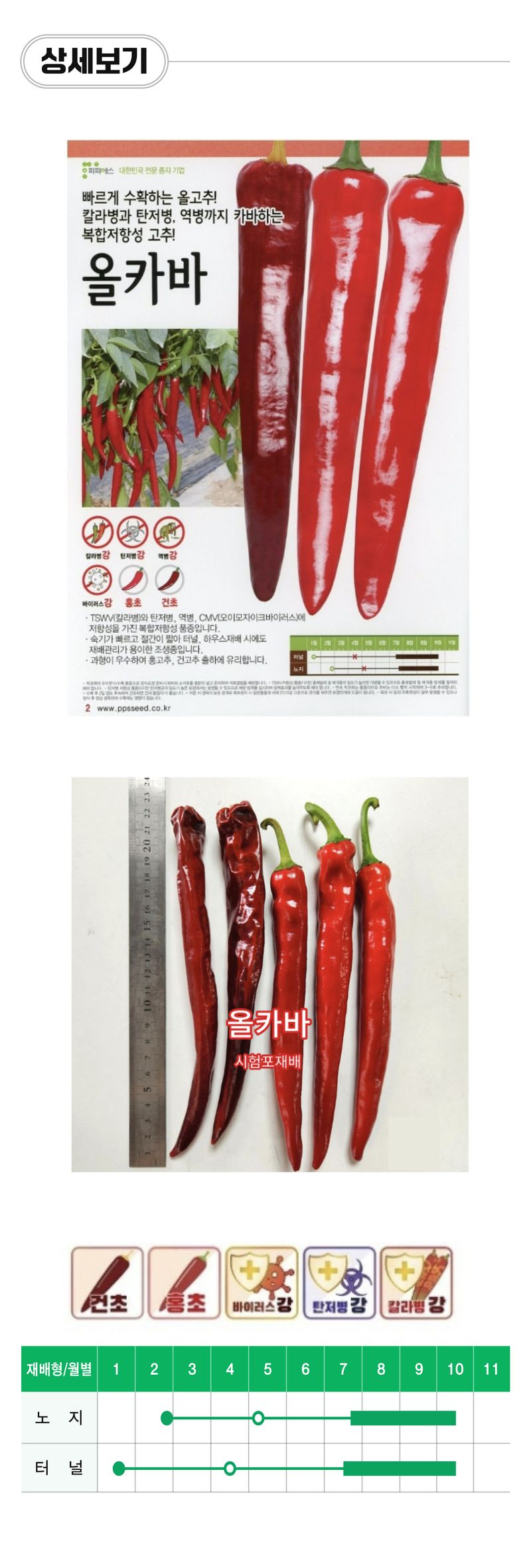 팜모닝 상점님의 장터 판매 상품 [[피피에스] 올카바 복합계 고추씨앗 1200립] 첨부 사진