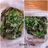 팜모닝 기타작물·자유게시판 게시글 이미지