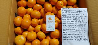 달맛햇복숭아농원님의 장터이야기 · 자유게시판 작성글 사진