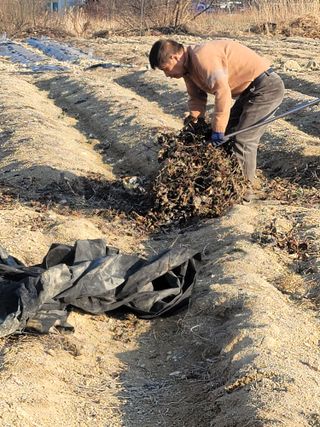 둥근마지기님의 기타작물 · 자유게시판 작성글 사진