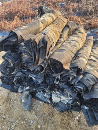 둥근마지기님의 기타작물 · 자유게시판 작성글 사진