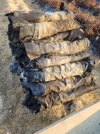 둥근마지기님의 기타작물 · 자유게시판 작성글 사진