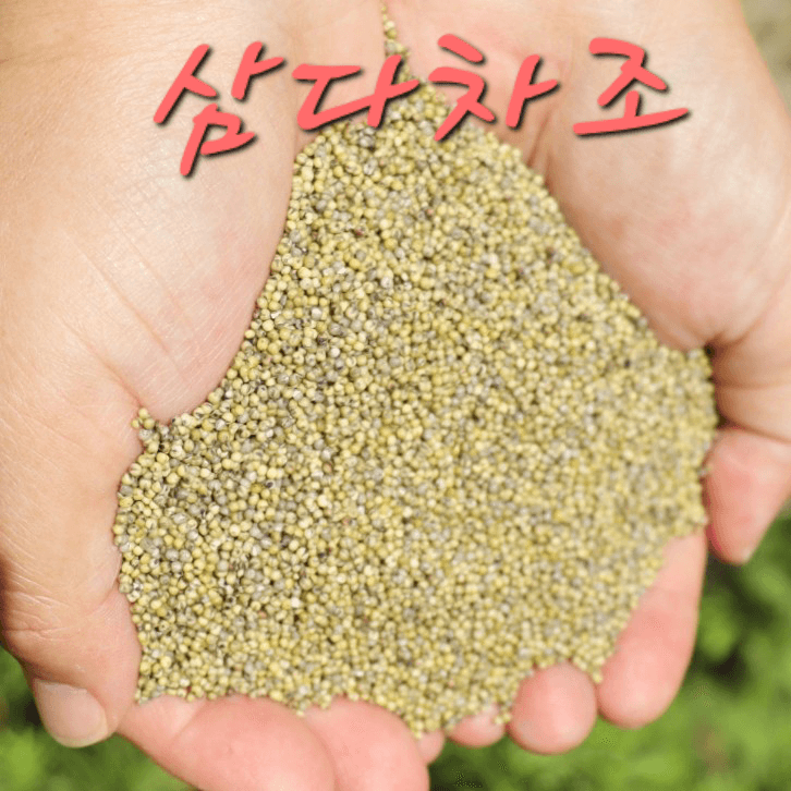 장터 상품 [삼다차조요... (2키로부터)] 썸네일