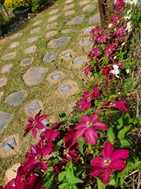 팜모닝 자유주제·자유게시판 게시글 이미지