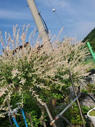 또비님의 자유주제 · 자유게시판 작성글 사진